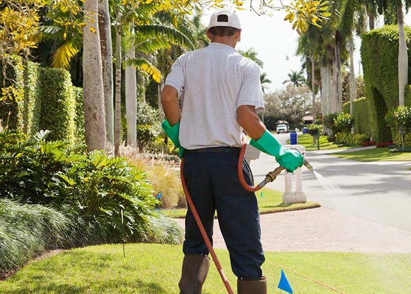 About Wilmerding PA Pest Control Pros